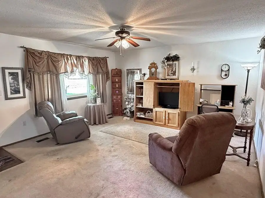417 S Belisle Street, El Dorado Springs, MO 64744 - #3