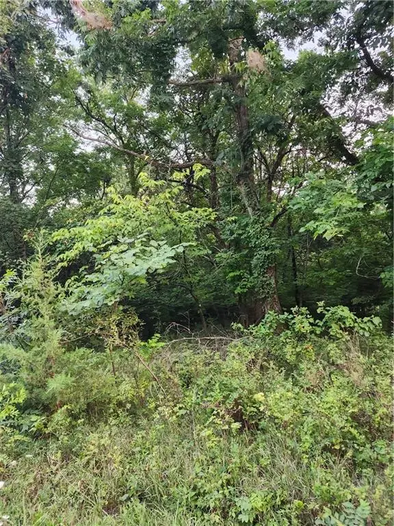 166 Sycamore Drive, Linn Valley, KS 66040 - #1