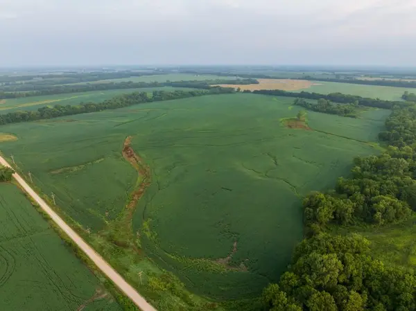 TBD SW 1300th Road, Chilhowee, MO 64733