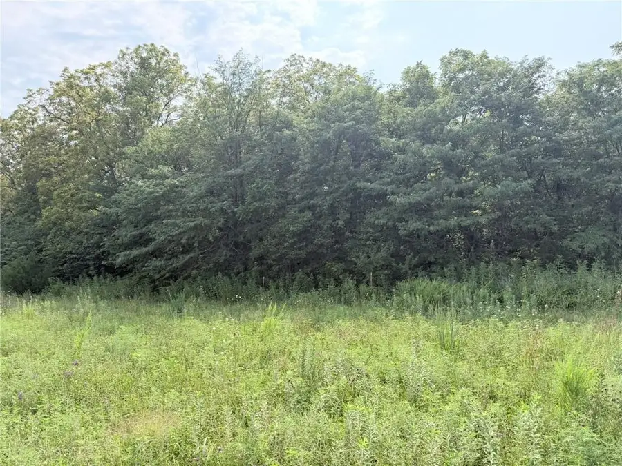 TBD Major Avenue, Pattonsburg, MO 64670 - #3