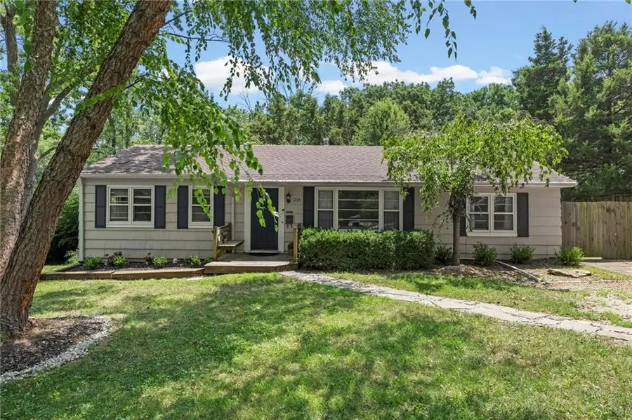 215 E 96th Street, Kansas City, MO 64114 - #2