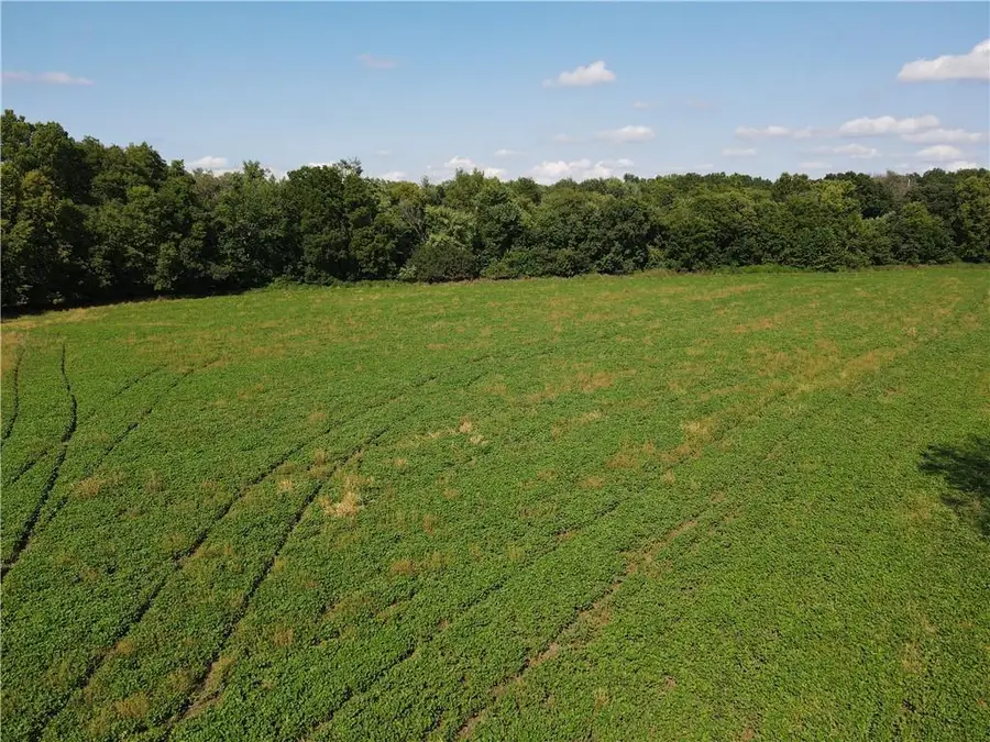 S Boardman Road, Pleasant Hill, MO 64080 - #3