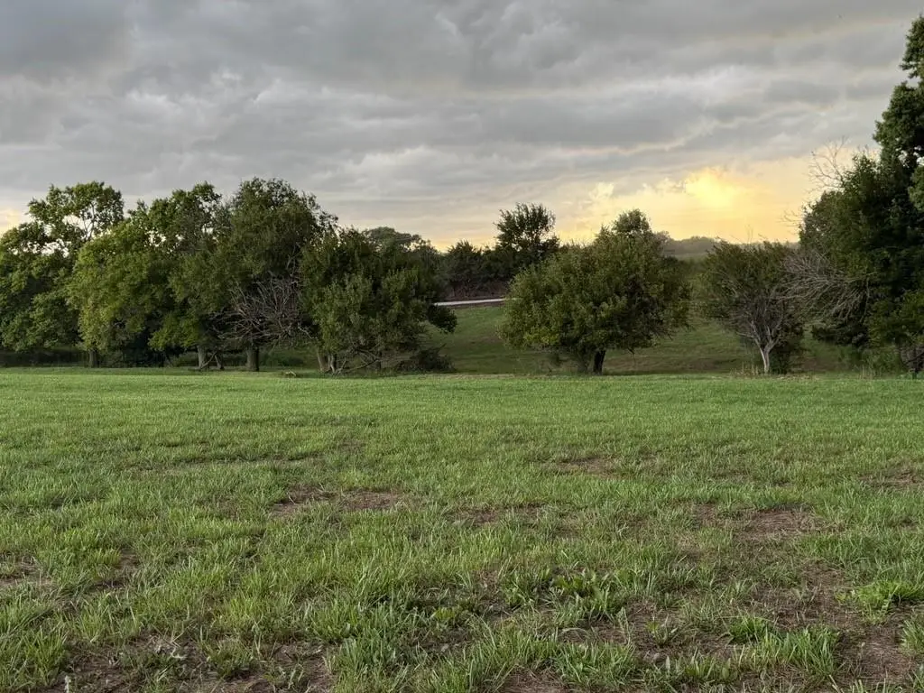 Lot 4 B Highway, Preston, MO 64444 - #1