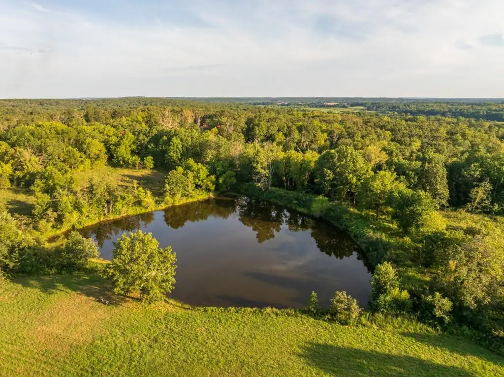 1085 NW 501 Road, Osceola, MO 64776 - #1