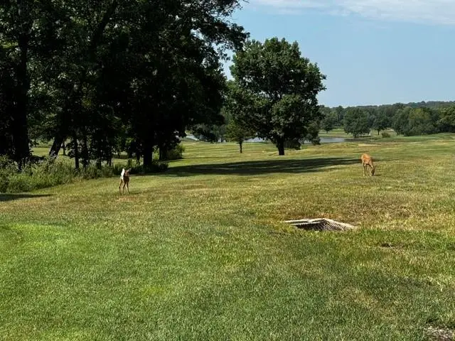 209 & 213 Fascination Lane, Linn Valley, KS 66040 - #2