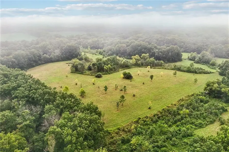 10204 Campbell Road, Green Ridge, MO 65332 - #3
