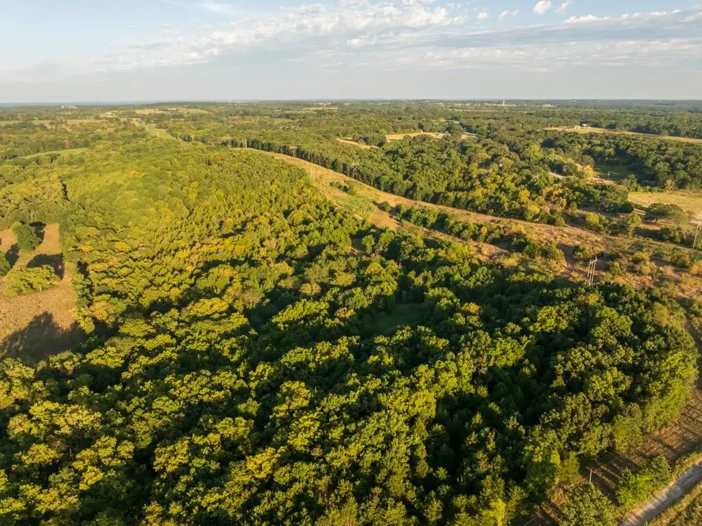 11615 32 Highway, Stockton, MO 65785 - #1