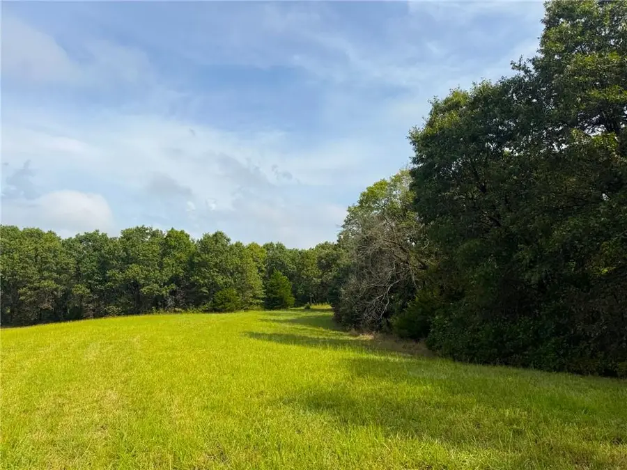 17660 Golden Road, Linwood, KS 66052 - #3