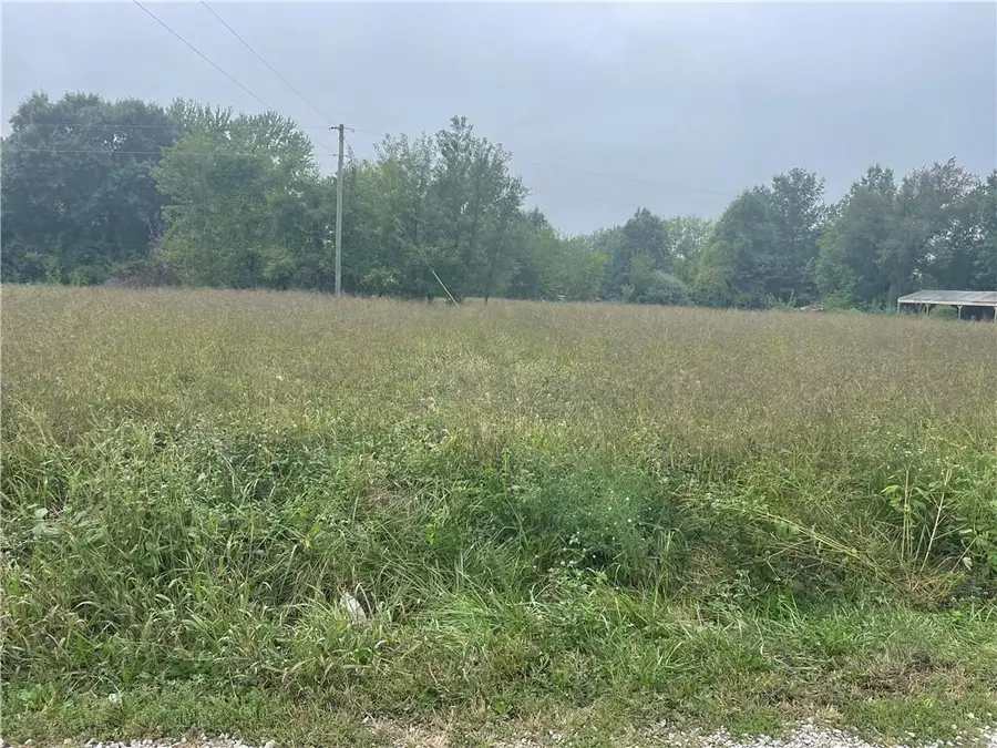 00001 Ramona Drive, Odessa, MO 64076 - #2