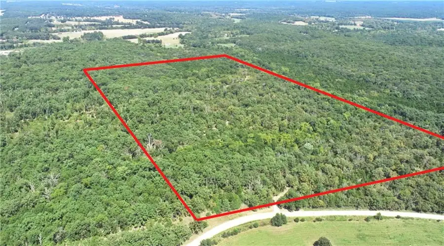 000 SE 500 Road, Collins, MO 64738 - #2