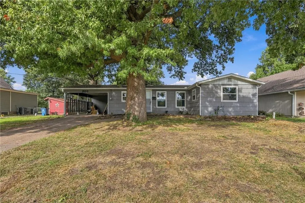 203 N Connor Street, Odessa, MO 64076 - #1