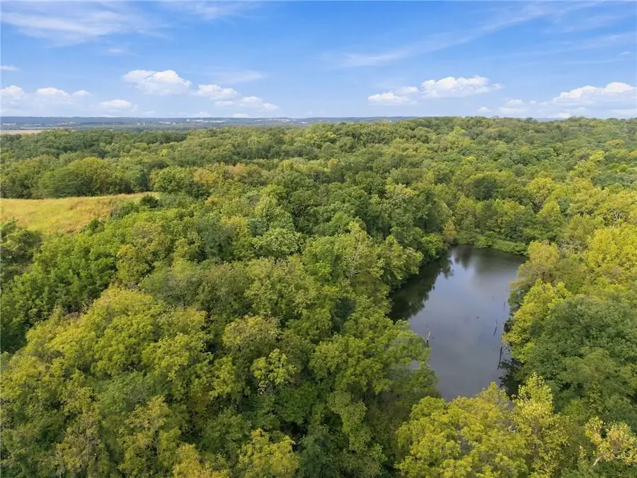 Lot 1 Dowling Lane, Platte City, MO 64079 - #2