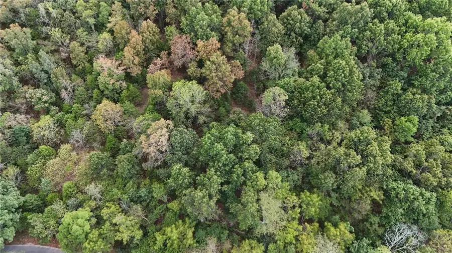 xx Aspen Road, Ozark, MO 65721 - #2
