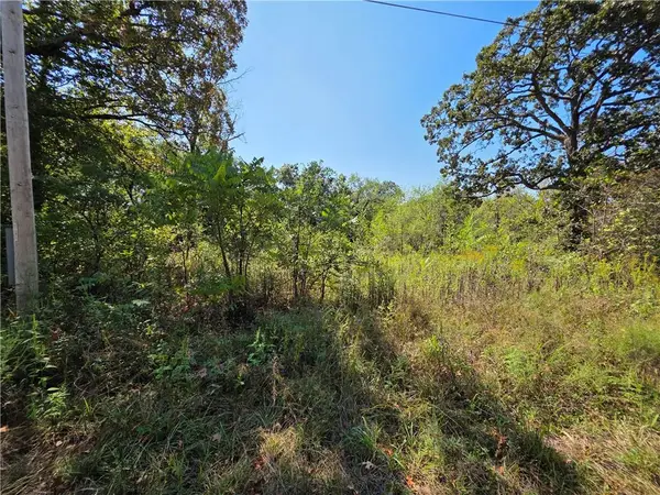 000 E Abbott Road, Schell City, MO 64783