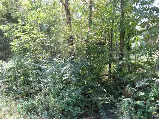 0000 W Crescent Rim Drive, Ozawkie, KS 66070 - #1