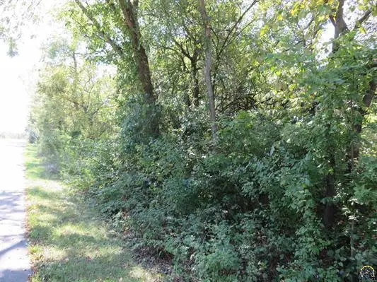 0000 W Crescent Rim Drive, Ozawkie, KS 66070 - #3