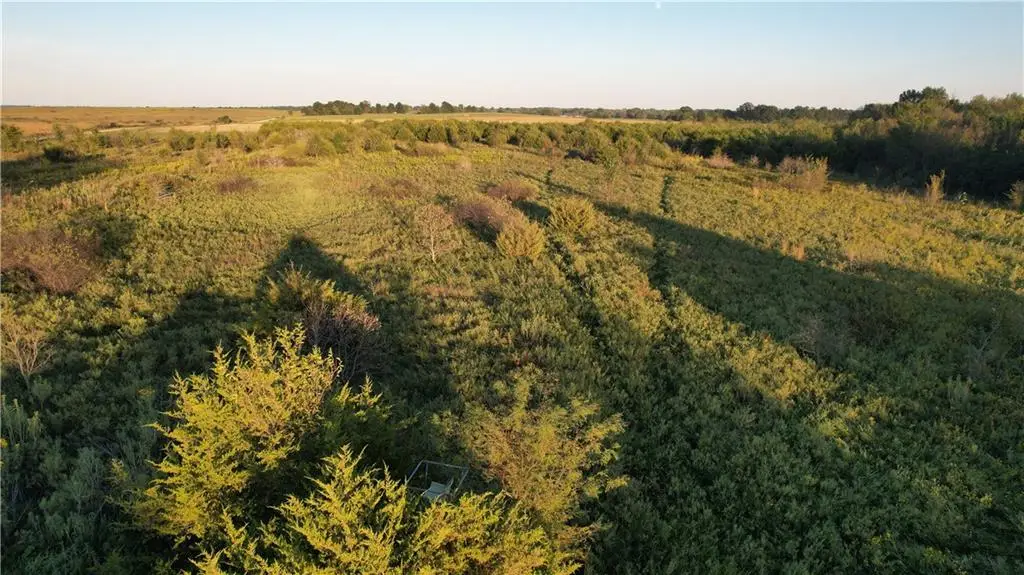 890 Nw 100th Road, Liberal, MO 64762 - #1