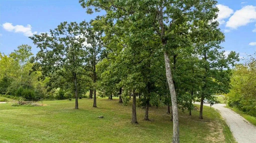 119 Sydney Lane, Gravois Mills, MO 65037 - #1