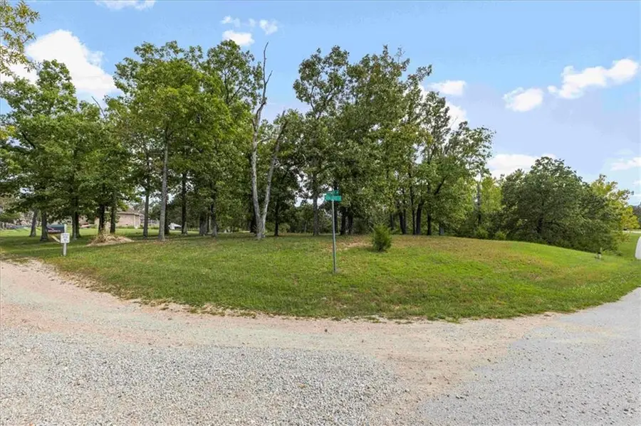 119 Sydney Lane, Gravois Mills, MO 65037 - #3