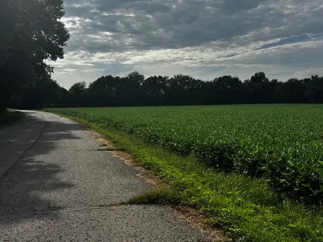 W. 82nd Street Street, De Soto, KS 66018 - #2