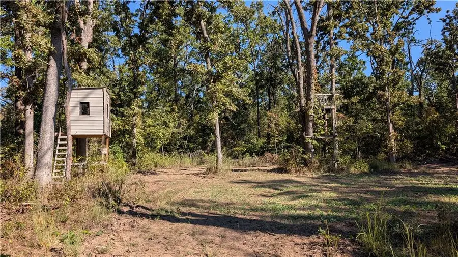 5740B 731 Road, Collins, MO 64738 - #2