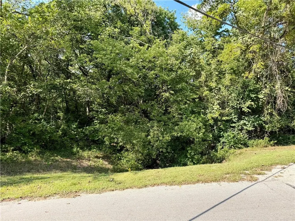 61 G Street, Lake Lotawana, MO 64086 - #1
