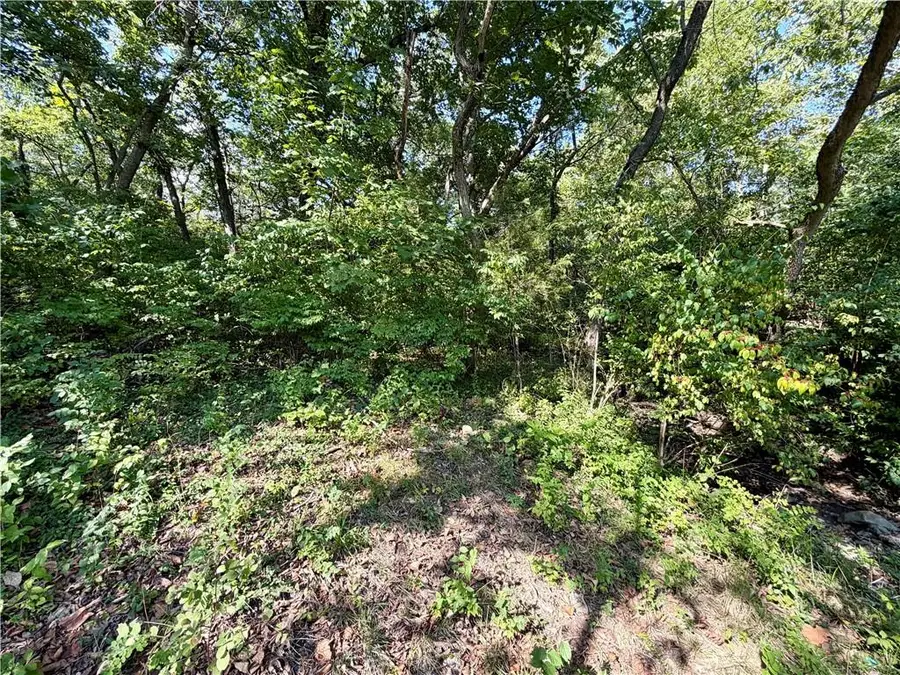 61 G Street, Lake Lotawana, MO 64086 - #2