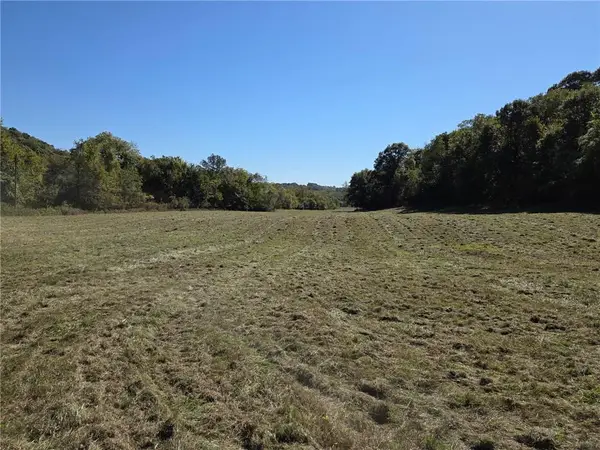 Holt 324 Road, Forbes, MO 64470
