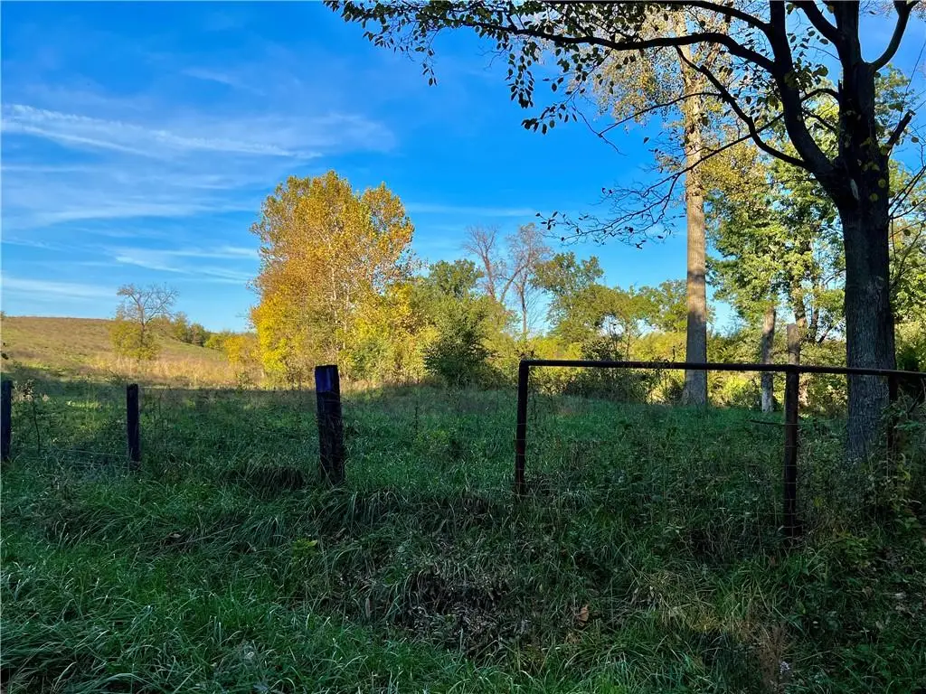00 Triple Springs Road, Orrick, MO 64077 - #1