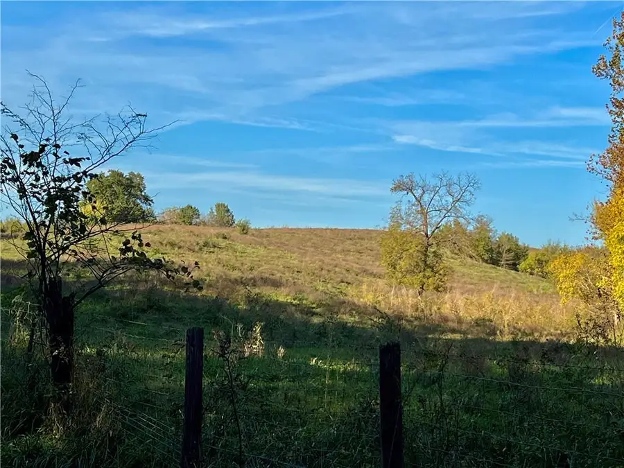 00 Triple Springs Road, Orrick, MO 64077 - #2