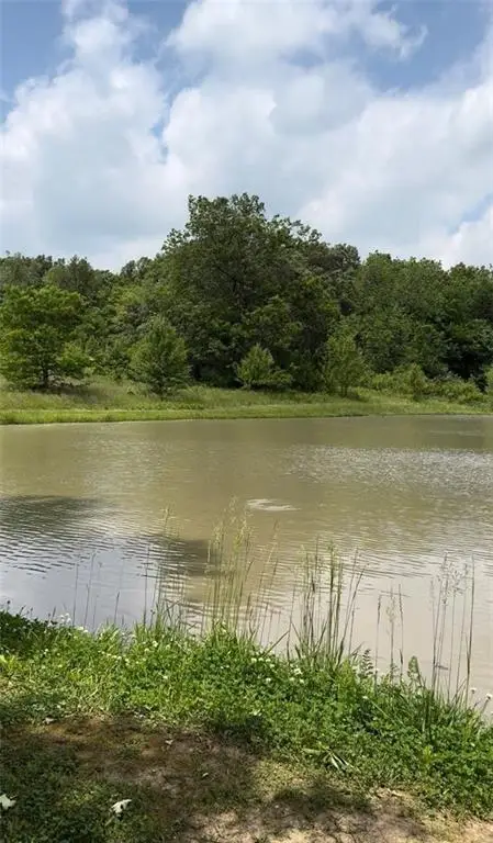 27410 NE 164th Street, Kearney, MO 64060 - #2