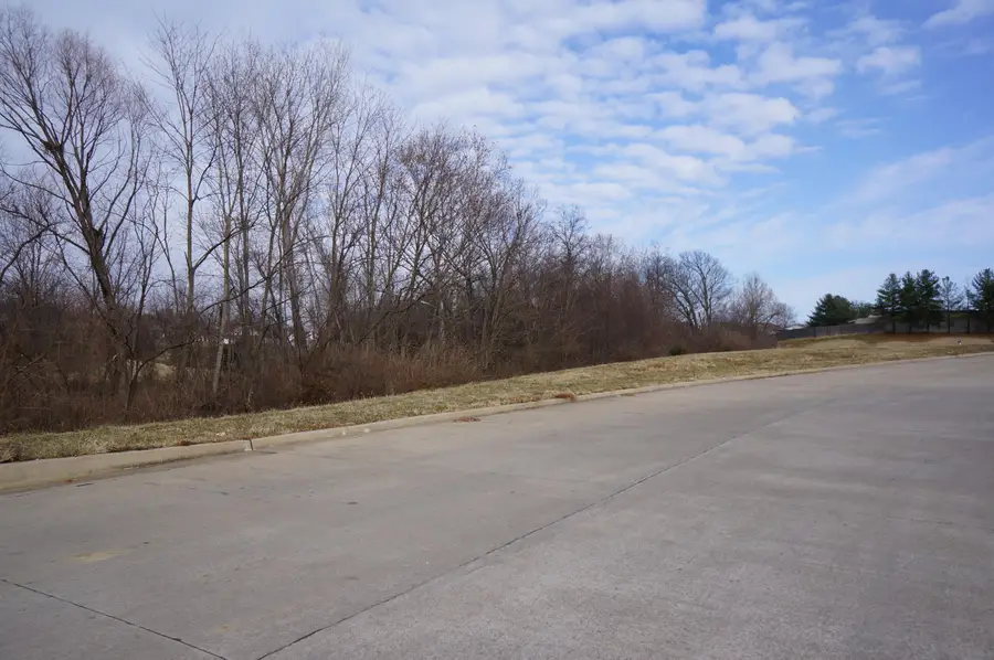 LOT 4 Flanders Ct, Columbia, MO 65202 - Image #2