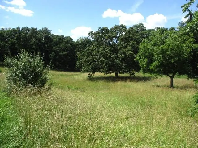 11.88/AC N Highway Jay Jay, Tract 5, Centralia, MO 65240 - Image #1