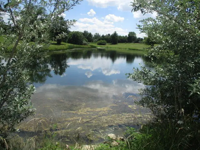 11.88/AC N Highway Jay Jay, Tract 5, Centralia, MO 65240 - Image #2