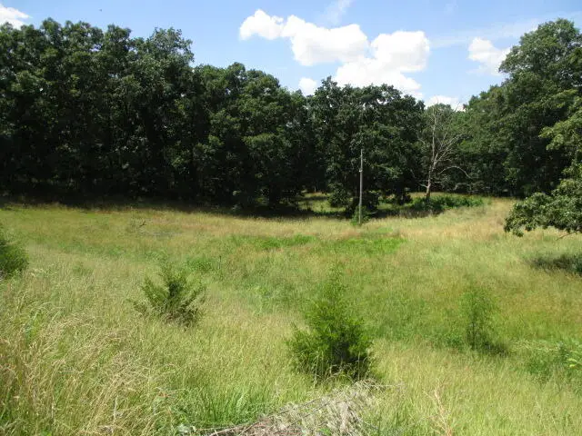 11.88/AC N Highway Jay Jay, Tract 5, Centralia, MO 65240 - Image #3