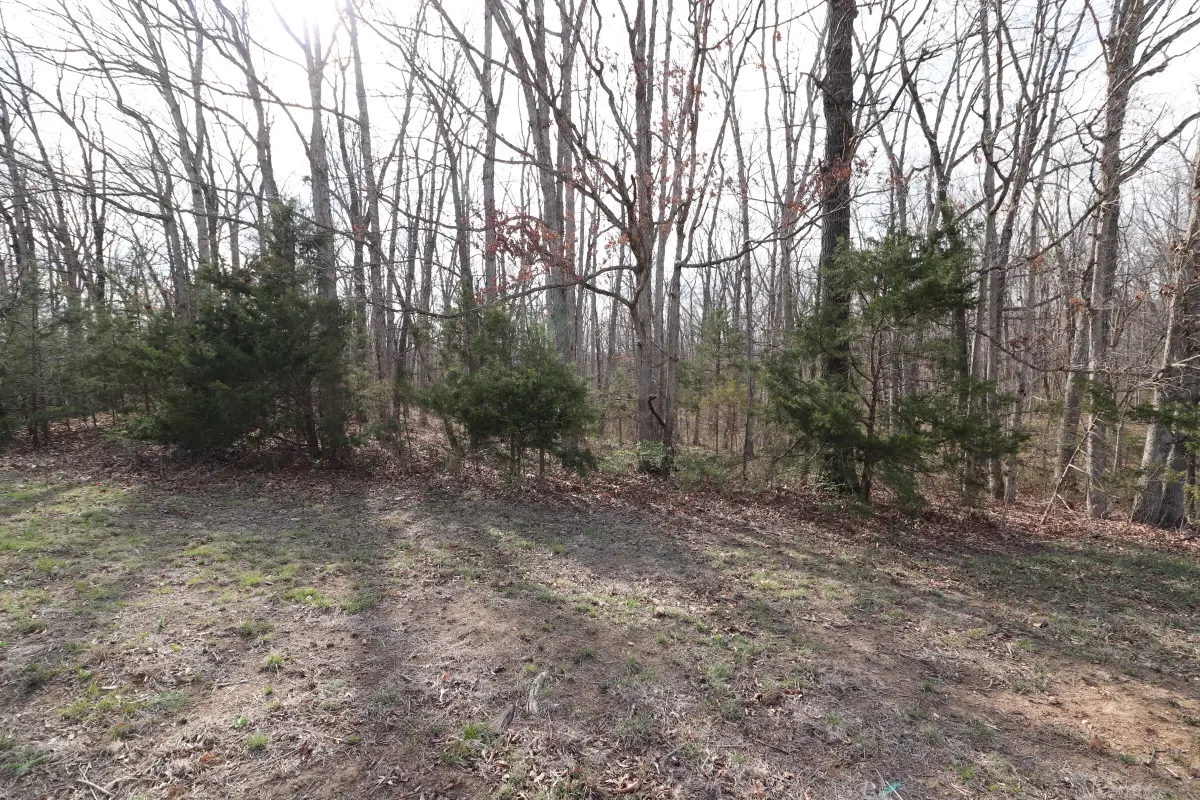 TBD County Rd 144 Tract2 - 5, Williamsburg, MO 63388 - Image #1