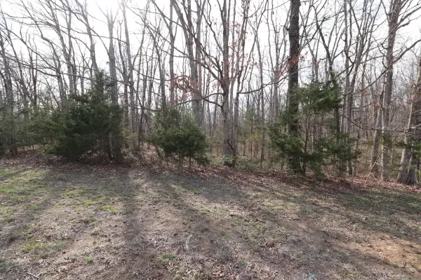 TBD County Rd 144 Tract2 - 5, WILLIAMSBURG, MO 63388