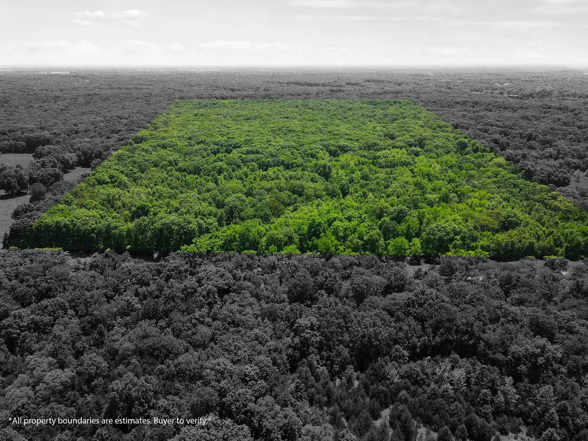 40 ACRES N Phillipe Rd, Hallsville, MO 65255 - Image #1