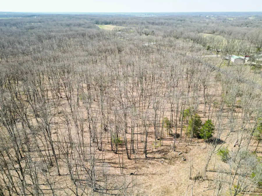 Tract 2 State Route A, Higbee, MO 65257 - Image #3