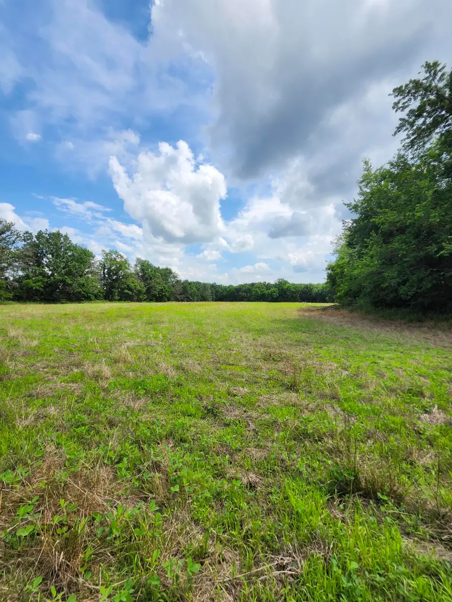 TRACT 4 E Mchatton Rd, Sturgeon, MO 65284 - Image #3