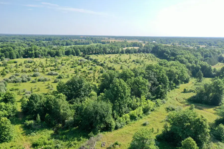 000111 E St Charles Rd, Columbia, MO 65202 - Image #2