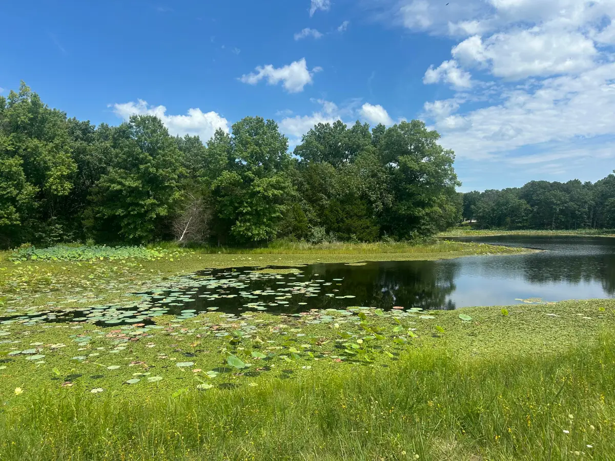 2946 State Rd F Lot 3, Fulton, MO 65251 - Image #1