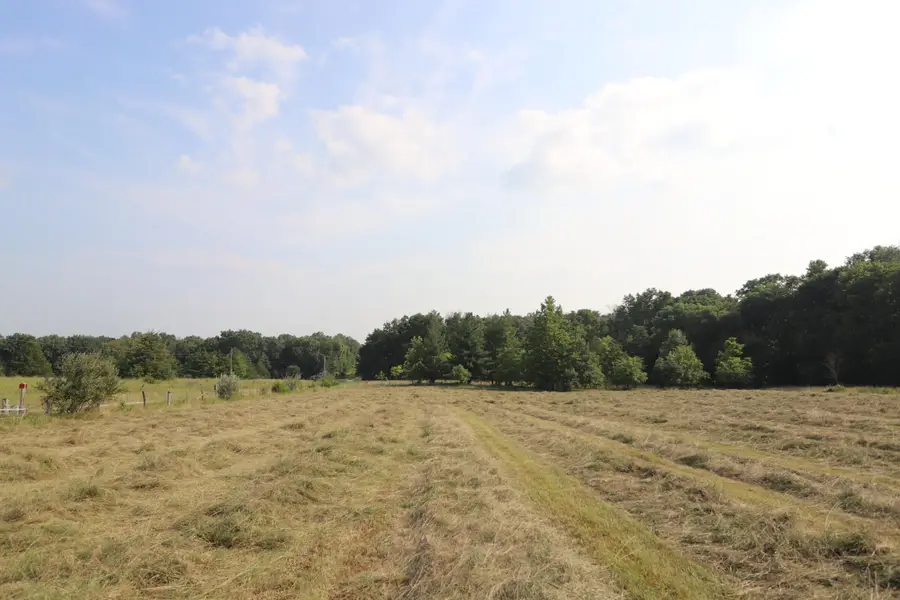 Tract#5-5ac+/- County Rd 263, Auxvasse, MO 65231 - Image #3