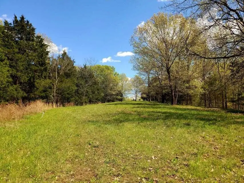 10.7 ACRES S. Mount Pleasant Rd, Cedar, MO 65010 - Image #1