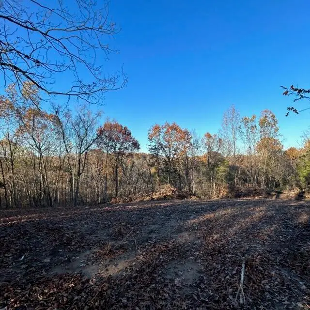 LOT 3 Cedar Tree Lane, Hartsburg, MO 65039 - Image #2