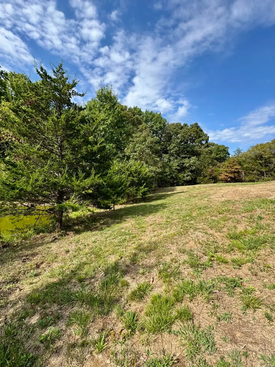 27200 Falcon Way, Wooldridge, MO 65287 - Image #2