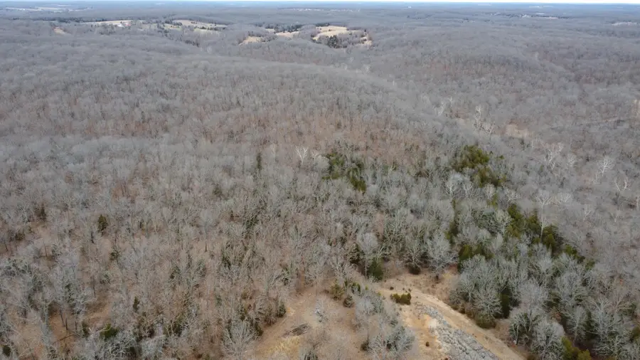 99.5 ACRES County Road 40, Cross Timbers, MO 65634 - #3