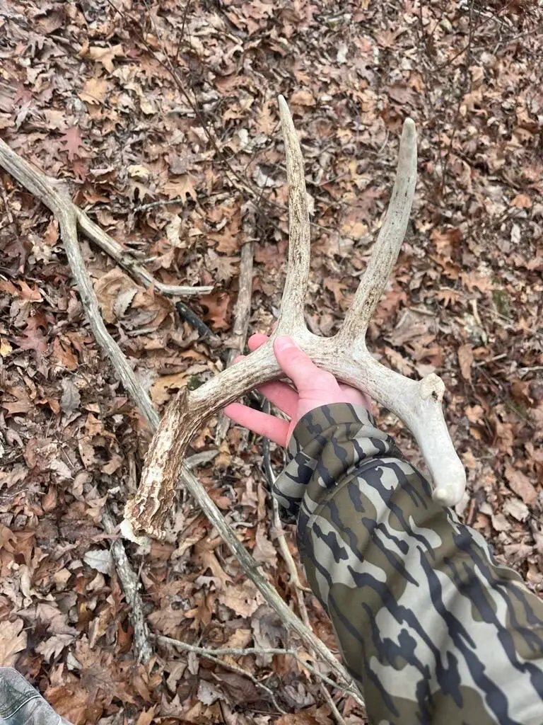 Rte O, Fulton, MO 65251 - Image #3