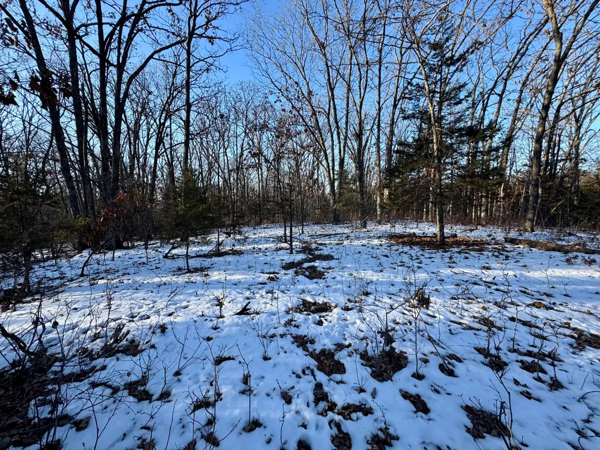 TRACT 2 E Mt Zion Church Rd, Hallsville, MO 65255 - Image #1