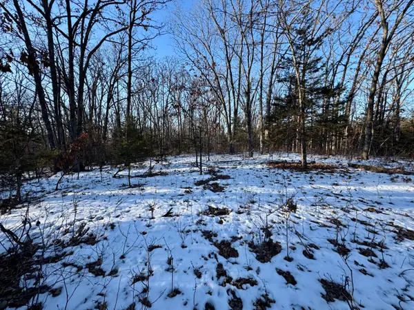 TRACT 2 E Mt Zion Church Rd, HALLSVILLE, MO 65255